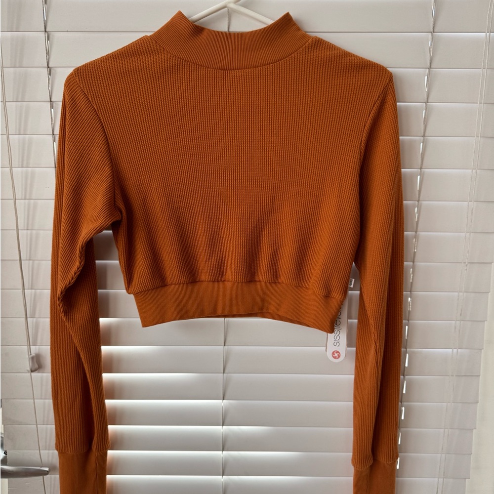 Elegant Rust Ribbed Crop Top